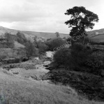 River Swale near Park House